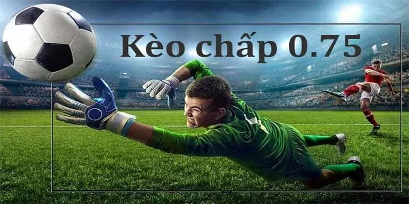 Kèo Chấp Nửa Trái